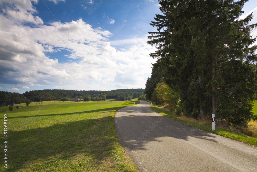 Fototapeta premium Landscape with road in Black Forest, Germany