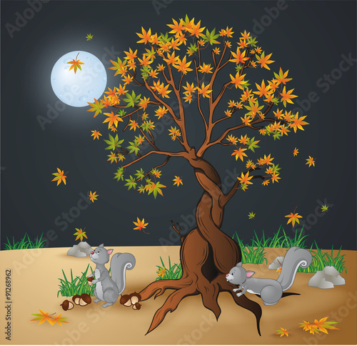Herbstnacht auf dem Feld