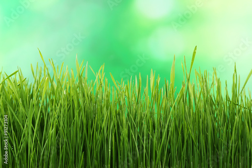Fototapeta Naklejka Na Ścianę i Meble -  Green grass on green background