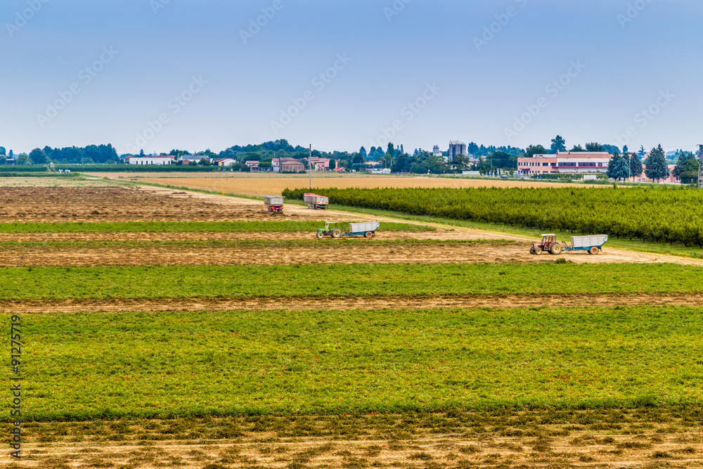 Obraz premium fields and farm equipment