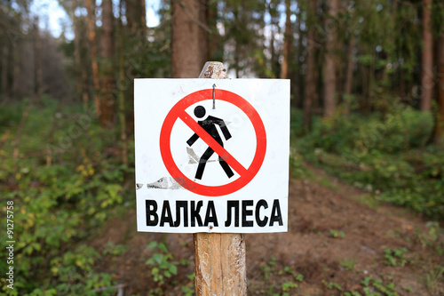 Warning sign "tree felling" nailed to tree in forest