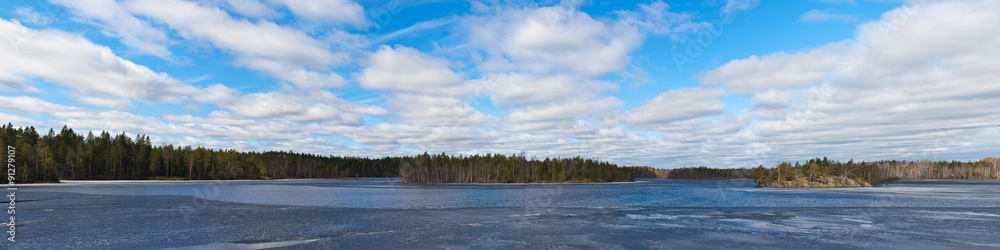 forest lake with melting ice