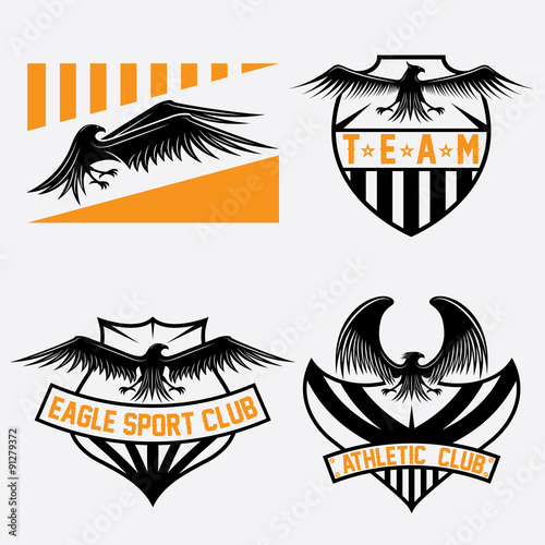 sport team crests set with eagles vector design template