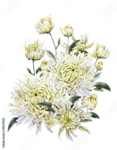 Fototapeta Naklejka Na Ścianę i Meble -  Vintage Watercolor Floral Card with Chrysanthemums
