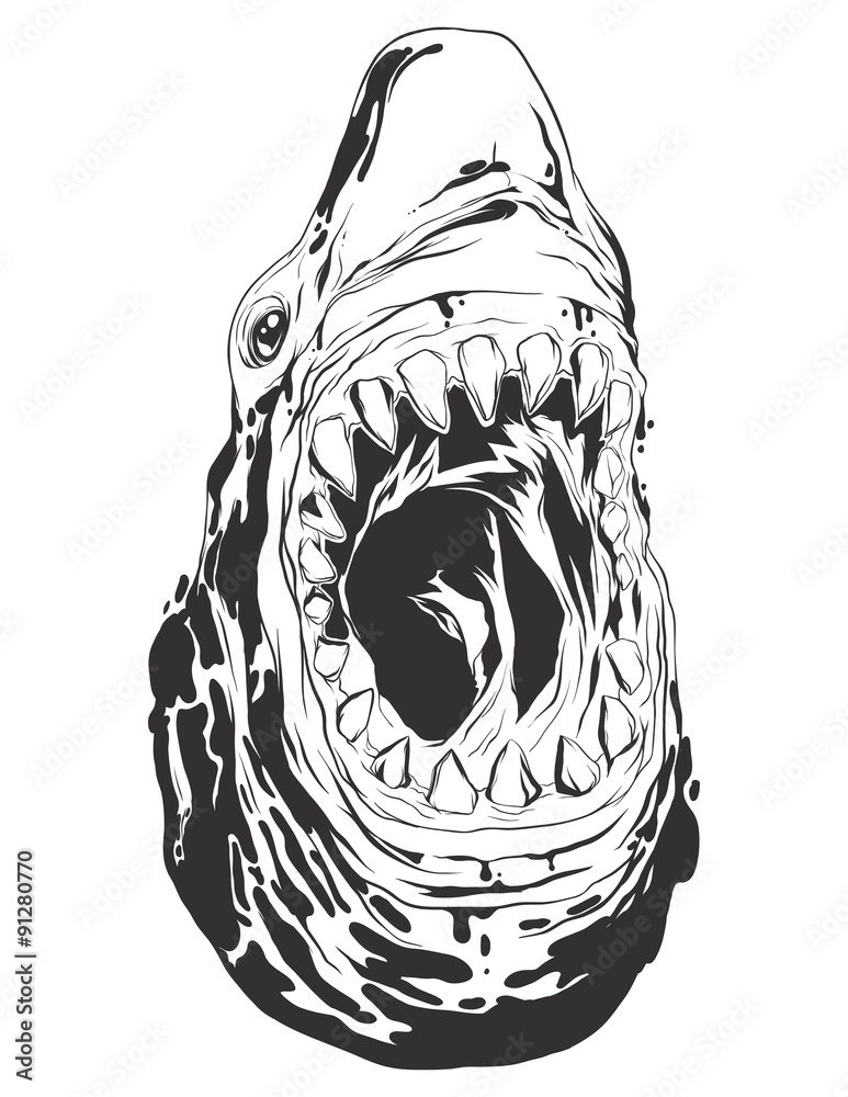 Fototapeta premium Vector illustration with shark head