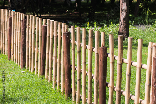 bamboo fence