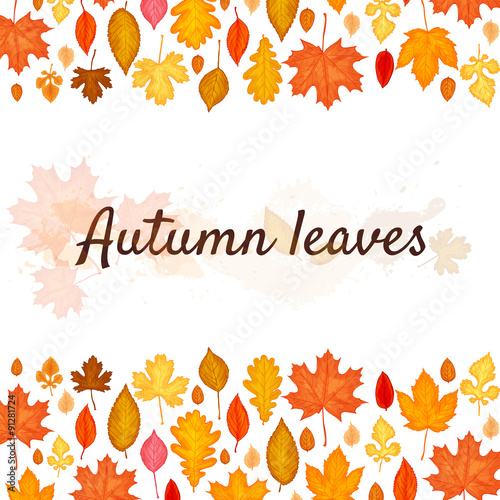 autumn leaves background