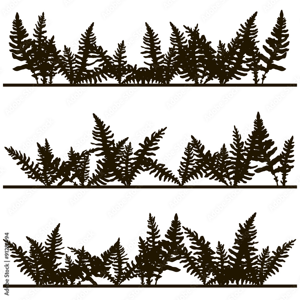 Set of ink drawing fern leaves Set of ink drawing fern leaves