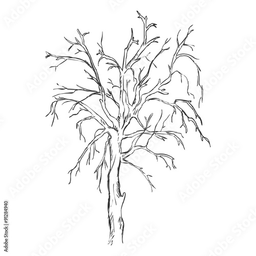 Vector Single Sketch Bare Tree