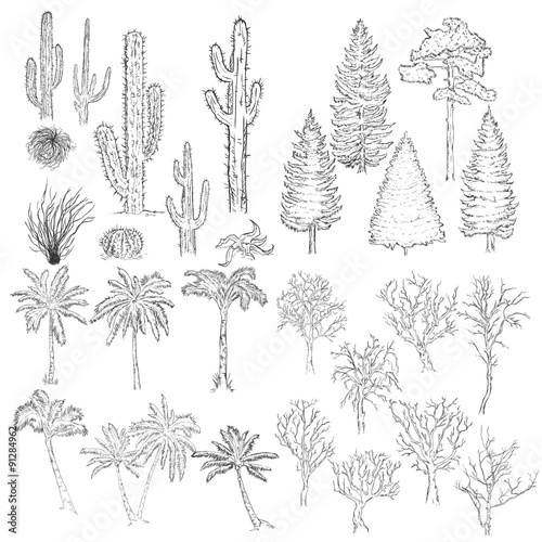 Wallpaper Mural Vector Big Set of Sketch Trees and Plants. Torontodigital.ca