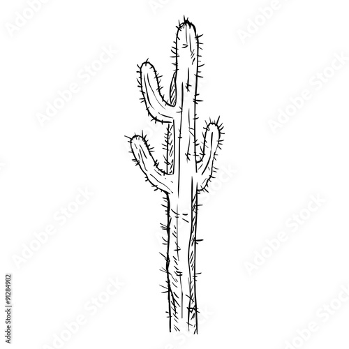 Vector Single Sketch Cacti