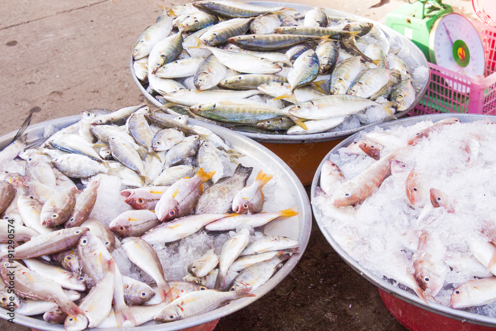 Fish market vietnam Fish market vietnam