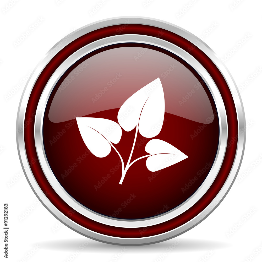 leaf red glossy web icon