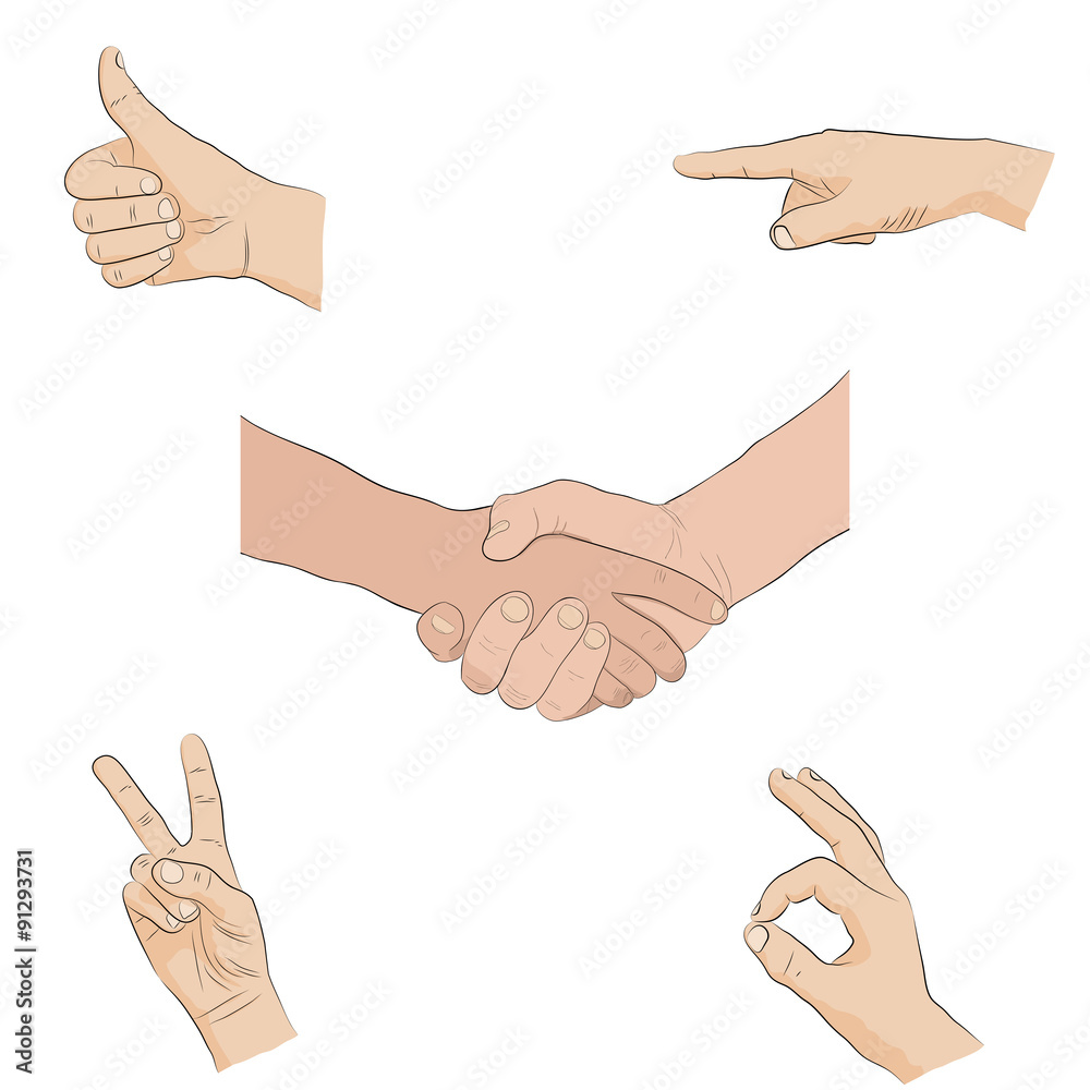 Human hands - sign language, isolated on white background Human hands - sign language, isolated on white background