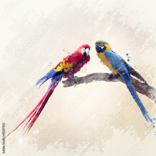 Fototapeta Two Parrots Watercolor