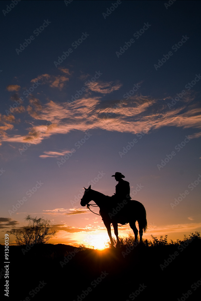 Arizona Sunset with Cowboy and Horse