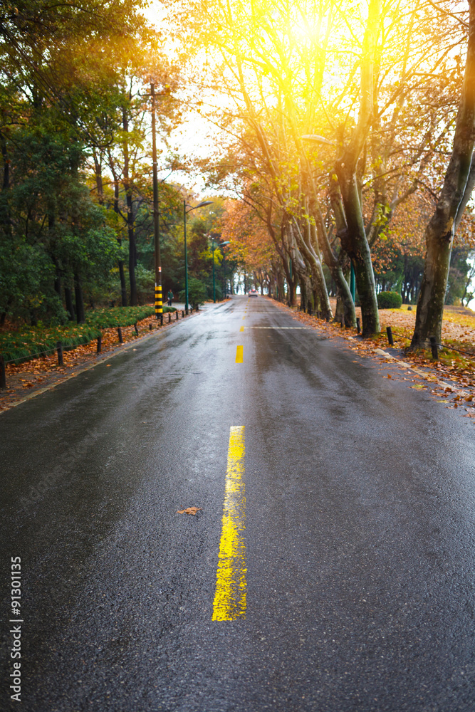 Rain asphalt road