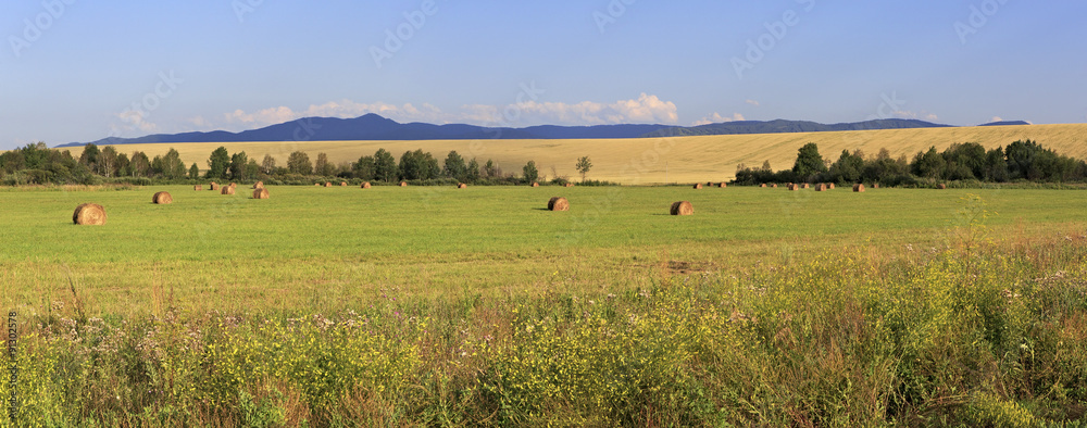 Obraz premium Beautiful panorama the sloping fields and haystacks.