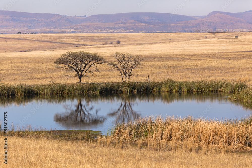 Waterhole Rural Landscape in dry season