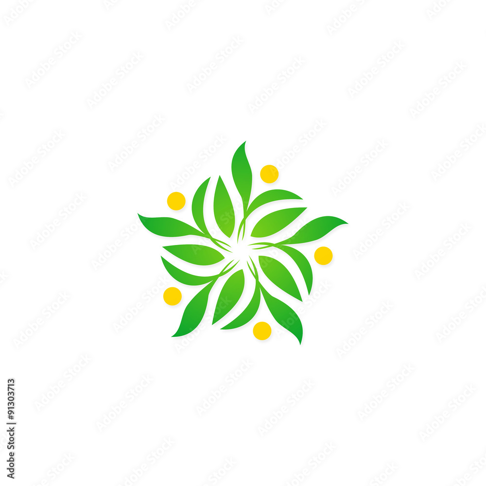 star green leaf decoration ecology logo