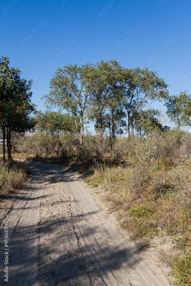 road across the steppe