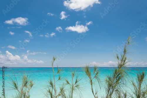 blue sky with beach sea and leaf