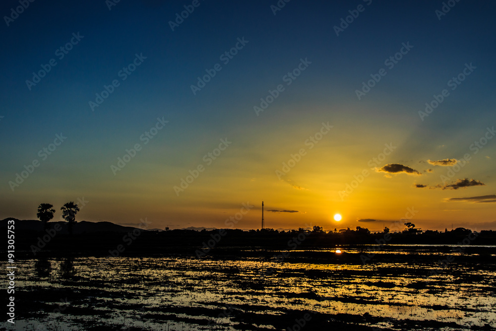 Evening field, rice field, evening, nature, view, Landscpes.