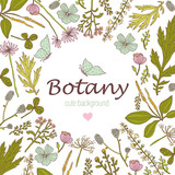 Botany. Vintage floral postcard with butterfly. Vector illustration.