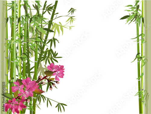 Fototapeta Naklejka Na Ścianę i Meble -  spring pink flowers and green bamboo branches