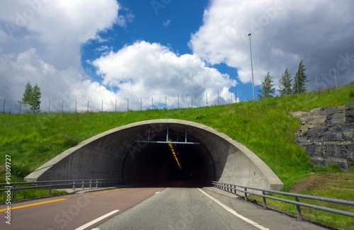 Foto tunnel