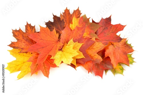 Goldener Herbst -  fallende bunte Blätter