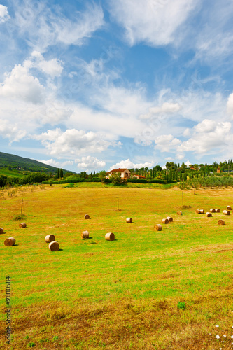 Fototapeta Naklejka Na Ścianę i Meble -  Tuscany Landscape