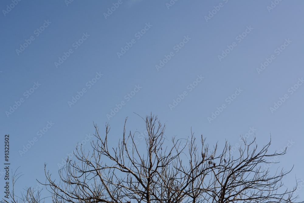 Obraz premium blue background