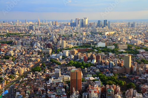 Tokyo skyline