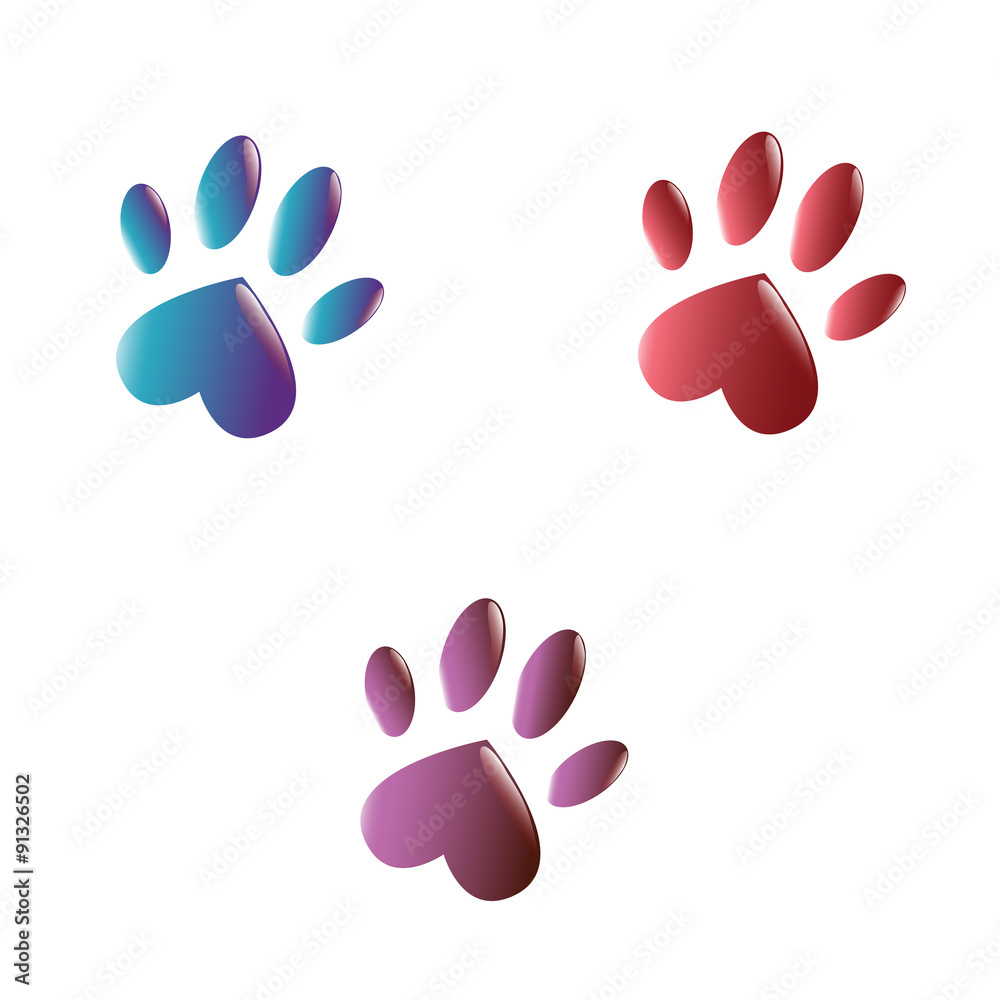 Three paws