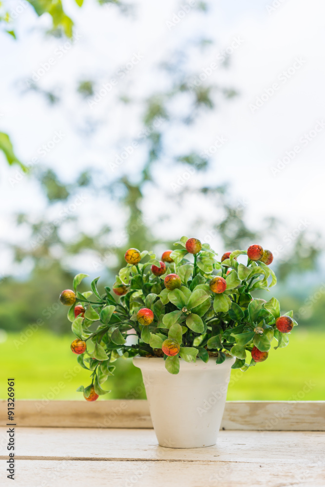 cute flower in a pot with nature background