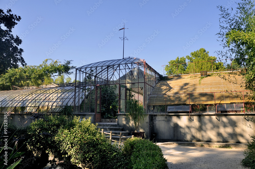 Fototapeta premium tropical greenhouses park Anduze bamboo