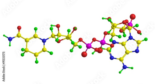 Molecular structure of nicotinamide dinucleotide phosphate (NADP/NADPH) photo