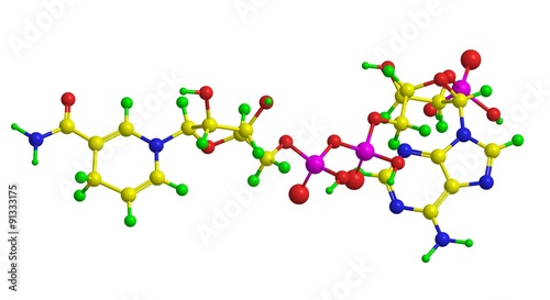 Cuadro en lienzo Molecular structure of nicotinamide dinucleotide phosphate (NADP/NADPH)