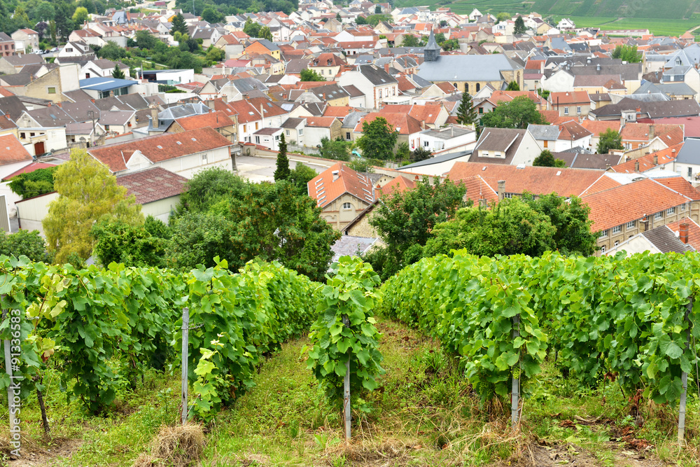 Typical agricultural landscape in Champagne-Ardenne, France Typical agricultural landscape in Champagne-Ardenne, France