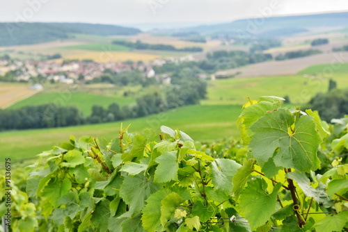 Typical agricultural landscape in Champagne-Ardenne, France