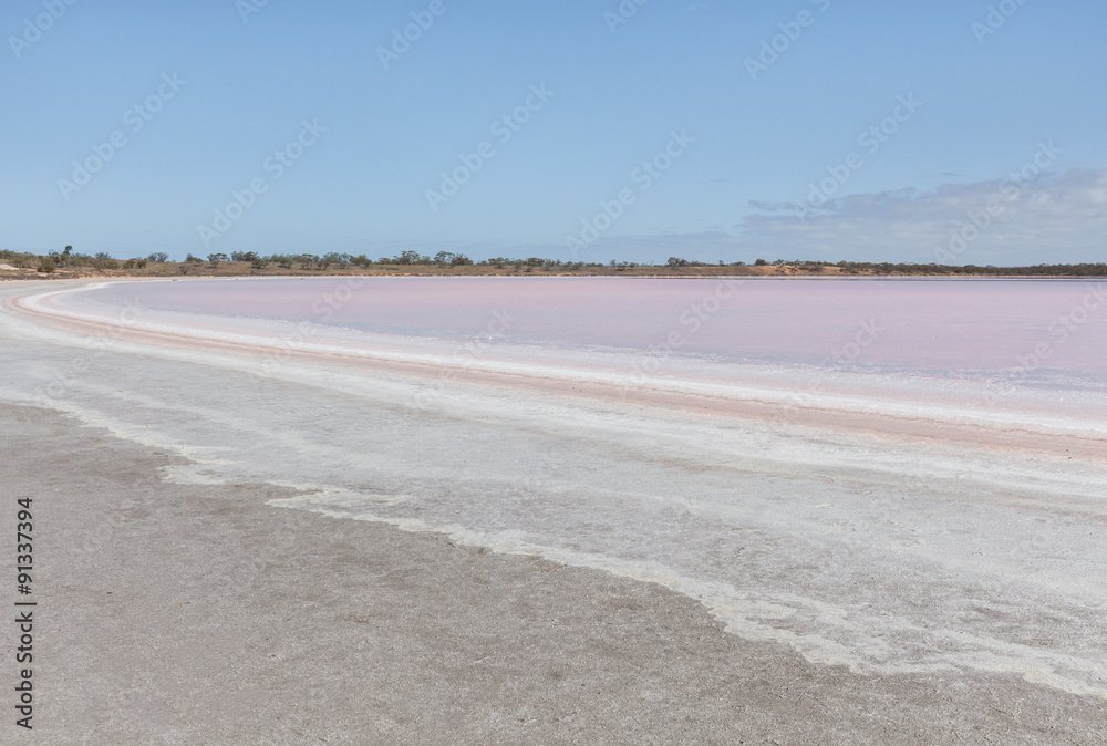 Pink Salt Lake Becking Landscape Pink Salt Lake Becking Landscape