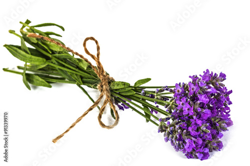 Bouquet of violet wild lavender flowers in dewdrops and tied wit