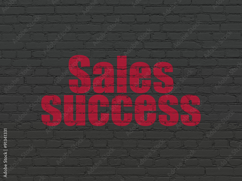 Fototapeta premium Advertising concept: Sales Success on wall background