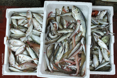 Fish market: fish mix in a box photo