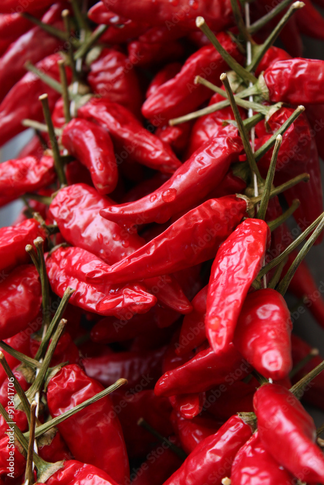 Calabrian chili peppers (also called Viagra Calabrese in Italian Calabrian chili peppers (also called Viagra Calabrese in Italian