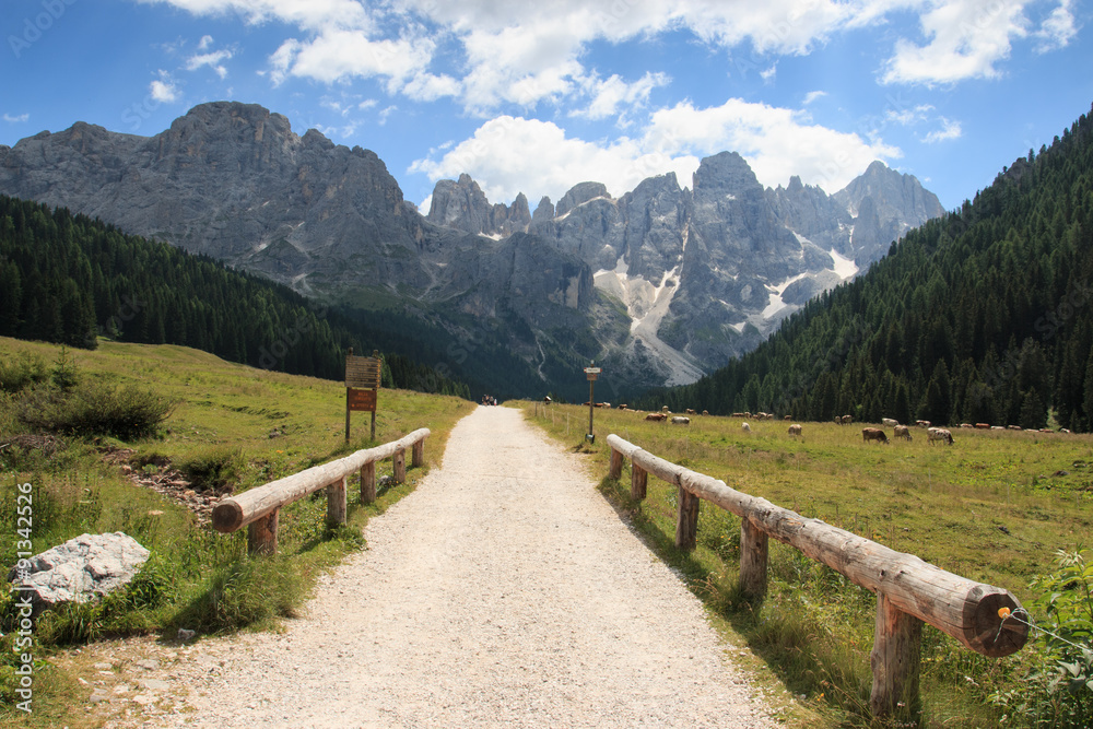 sentiero in Val Venegia. Sullo sfondo le Pale di San Martino