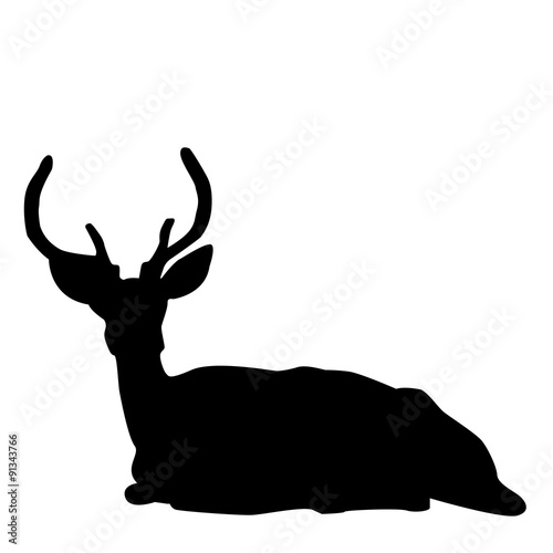 Deer stag silhouette