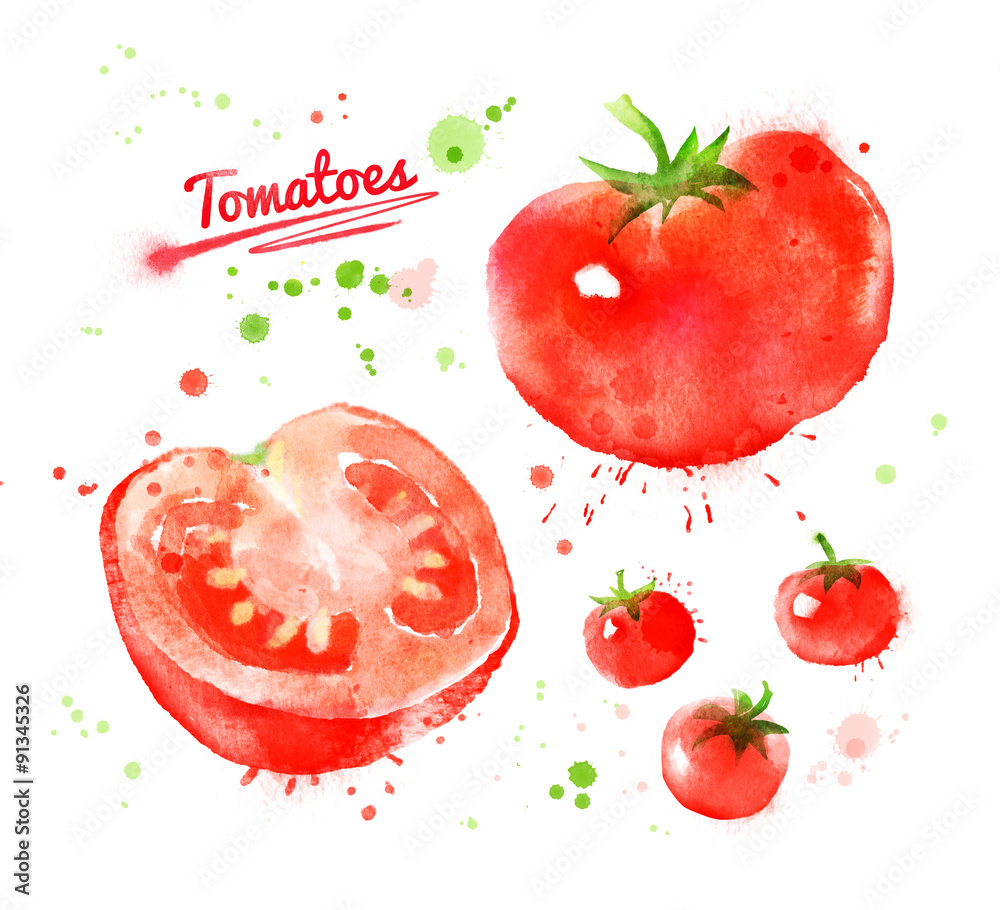 Watercolor tomatoes. Watercolor tomatoes.
