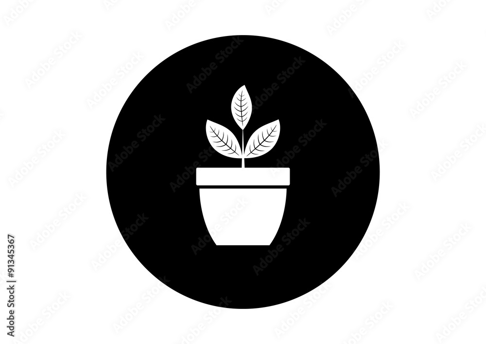 Black and white plant icon on white background Black and white plant icon on white background